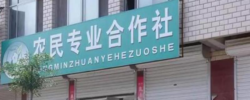 农村合作社是什么性质