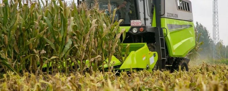 玉米联合收割台摘棒时掉粒子