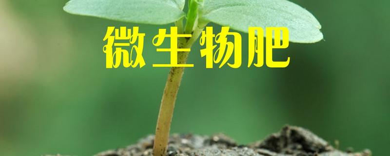 微生物肥料有哪些