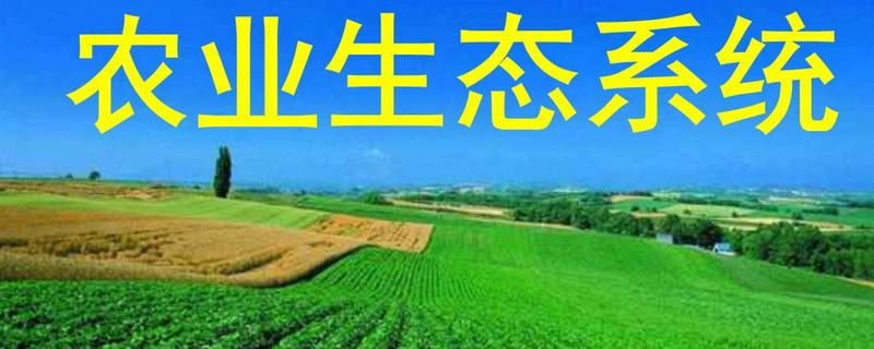 农业生态系统的特点