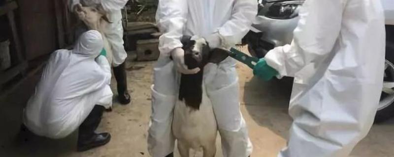 三联四防冬季能打吗