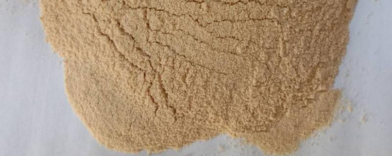 鱼蛋白不能与什么肥料混用