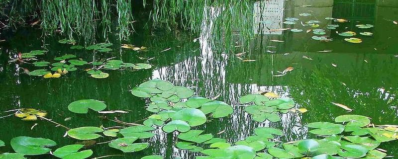 水混怎么处理