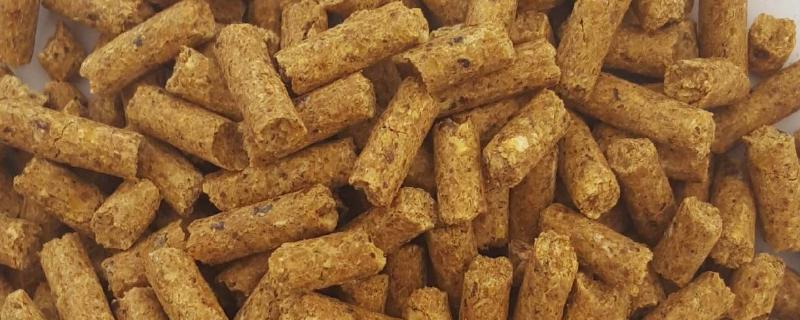 羊精饲料的最佳配方