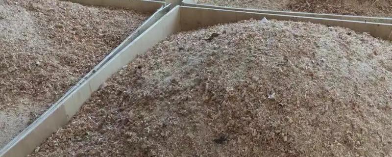 木屑怎么发酵有机肥