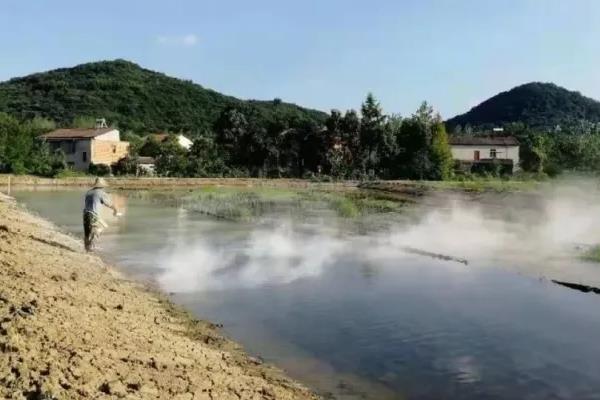鱼塘的鱼死了是什么原因，鱼塘消毒用什么药