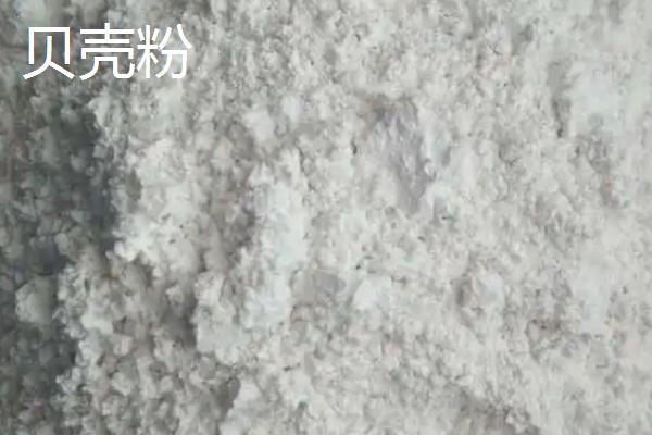 鹅多久能长成大鹅，鹅吃什么东西长得快