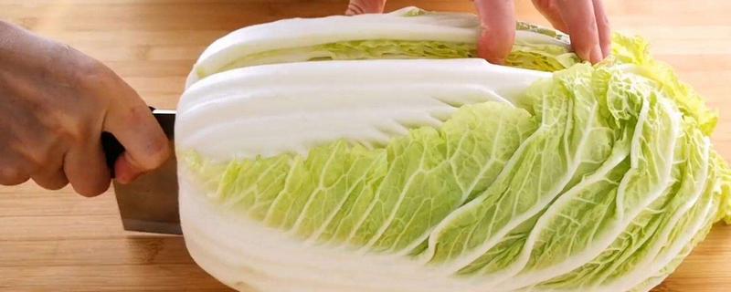 白菜吃的是什么部位