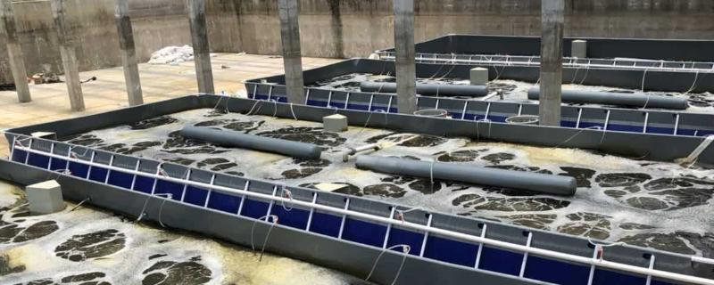 新型养鱼池的建设方法