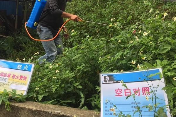 敌草快打到玉米上玉米能死吗