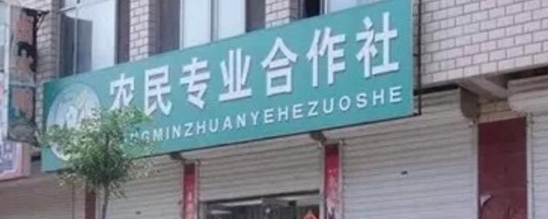 农村合作社是怎么回事