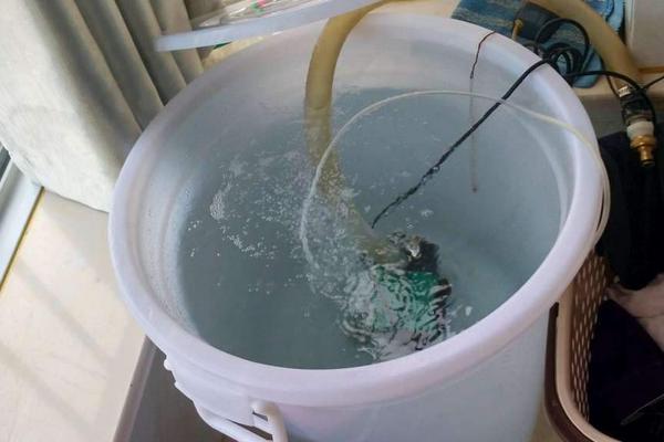 养鱼换水方法