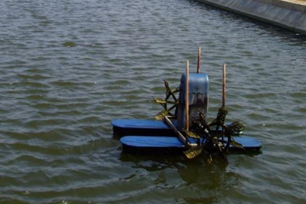 淡水鱼养殖技术与鱼塘管理，什么淡水鱼长得快又大