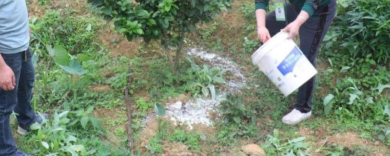 杀地下害虫最长效农药颗粒剂有哪些