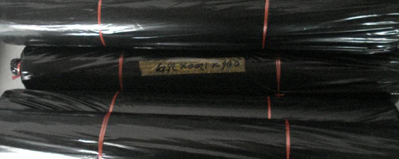 黑色地膜和白色地膜有什么区别