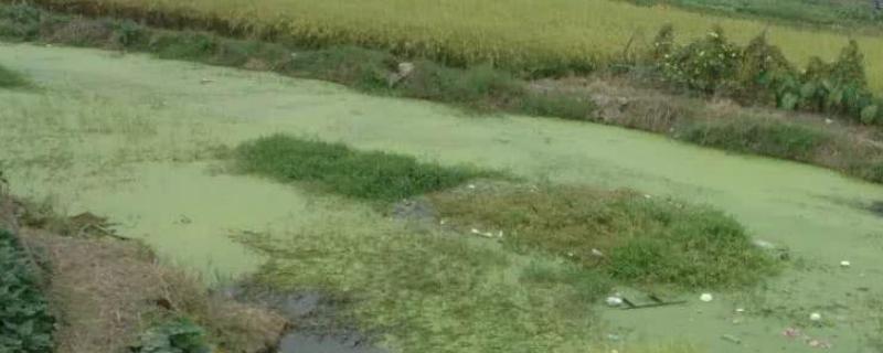 化肥污染防治应采取哪些措施