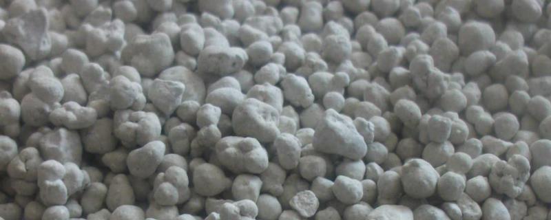 大量磷肥烧根吗