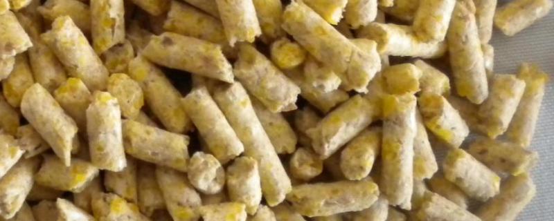 猪颗粒饲料能不能加水拌湿料