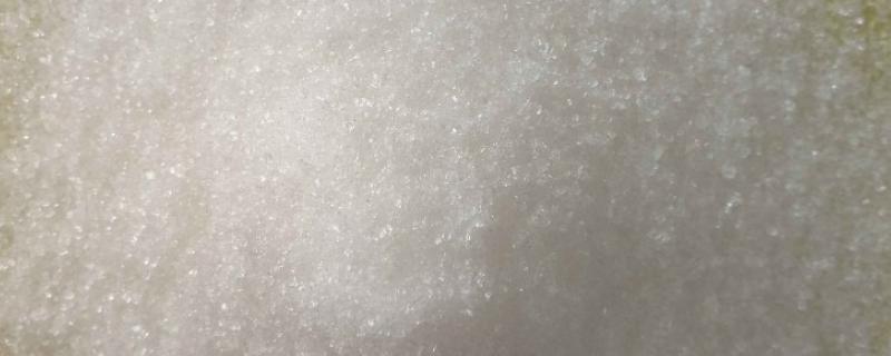 甜菜碱在钓鱼饵料中怎样使用