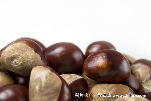 板栗种植技术要点