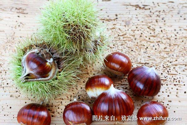 板栗种子育苗技术