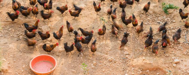 什么是气象指数保险？什么是气象指数保险产品