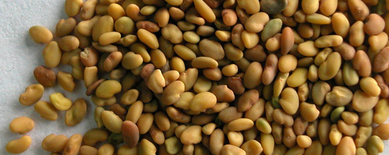 小麦包装注意事项