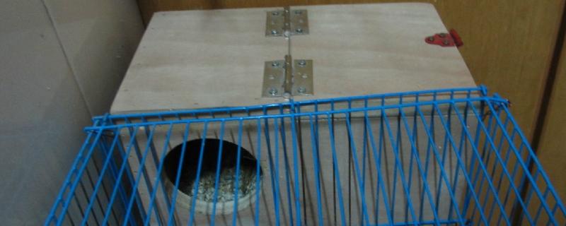 虎皮鹦鹉孵化箱制作方法