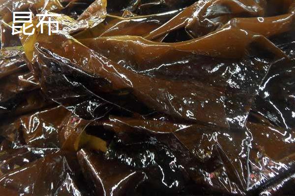 昆布和海带的区别