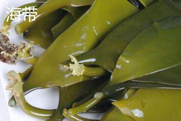 昆布和海带的区别