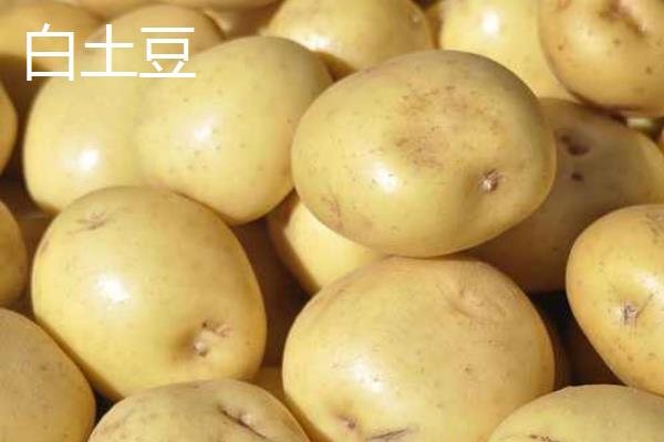 红土豆和白土豆有什么区别