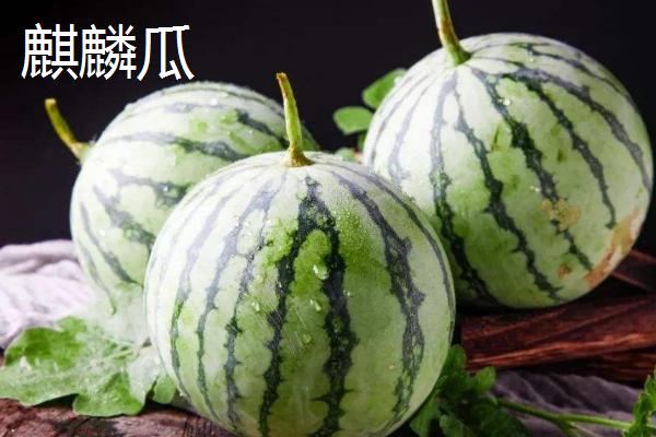 西瓜常见品种有几种