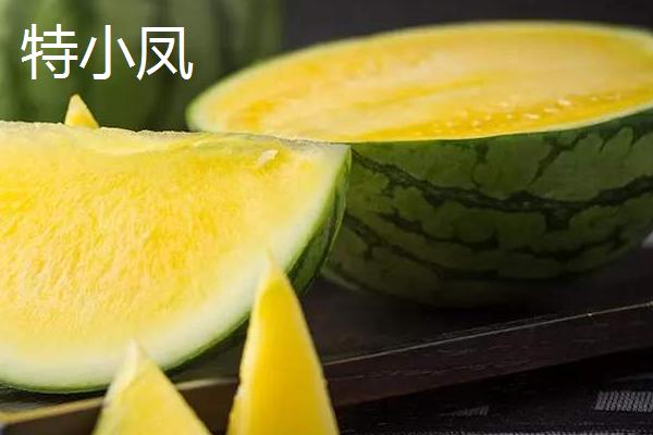 西瓜常见品种有几种