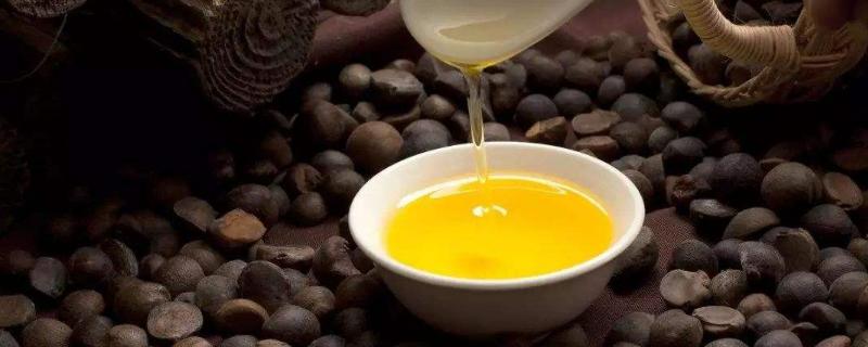 茶油多少钱一斤