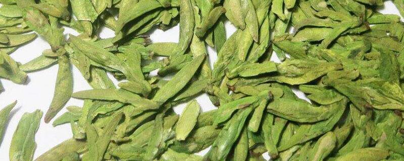 龙井茶是绿茶吗