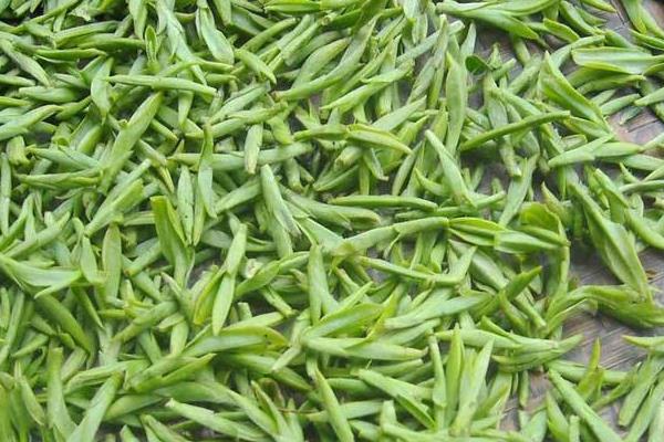 龙井是哪里产的茶