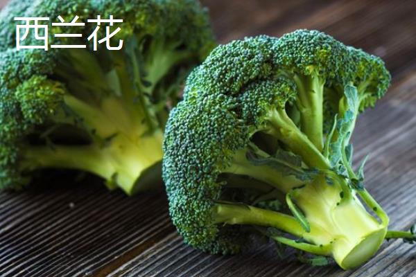 花椰菜和西兰花区别
