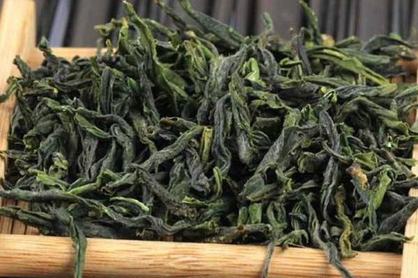 六安瓜片是什么茶
