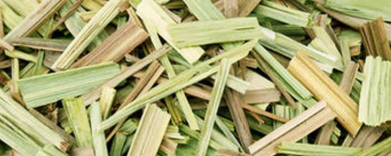 香茅草多少钱一斤