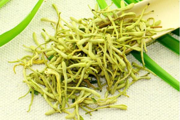 金银花茶多少钱一斤