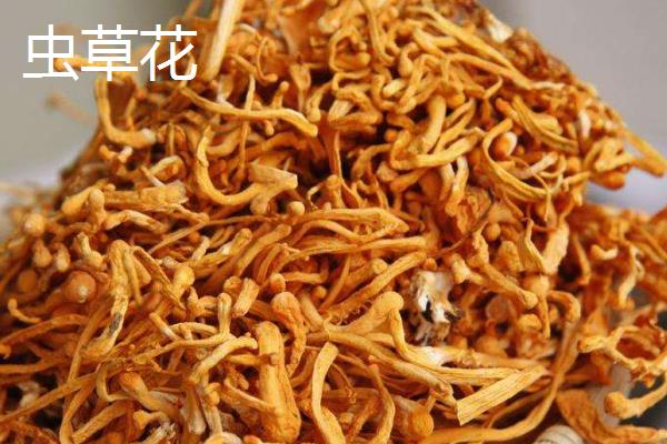 虫草花和虫草有什么区别