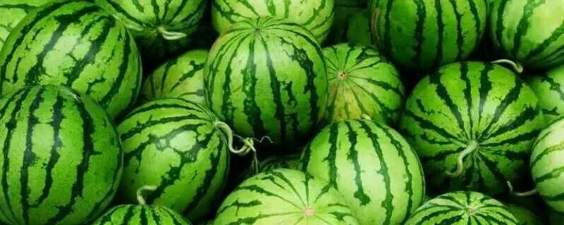 夏天西瓜怎么保存