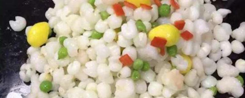 雪芽是什么菜
