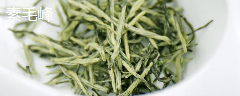 素毛峰和花毛峰的区别是什么