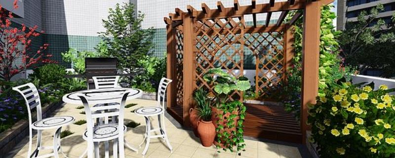 屋顶花园适合种植什么植物