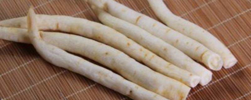 南沙参与北沙参的区别