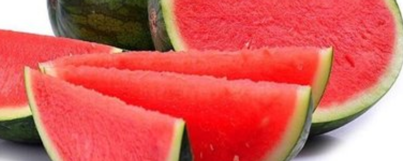 无籽西瓜的培育过程