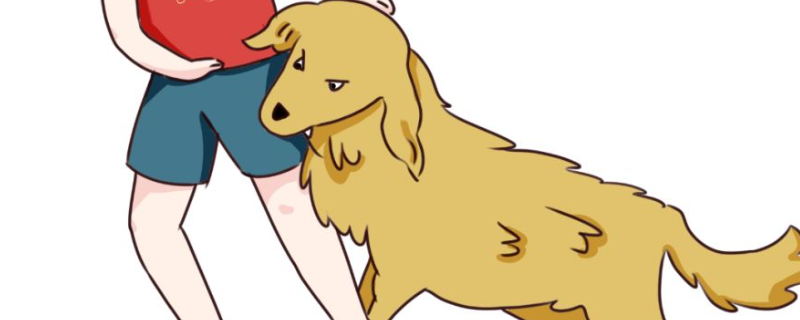 狗得狂犬病的症状有哪些