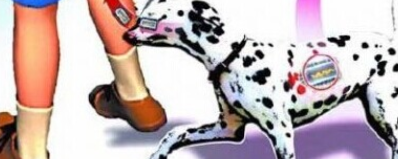 狂犬病会传染吗