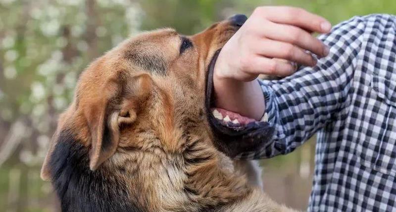 狂犬病的早期症状有哪些